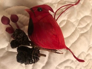 100 rote Vögel Kardinal Weihnachtsschmuck Federschwänze Schachtel mit ca. 100 - Bild 1 von 7