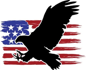 American Flag Bald Eagle Iron On Transfer For T-Shirt + Light & Dark Fabrics #4 - Picture 1 of 2