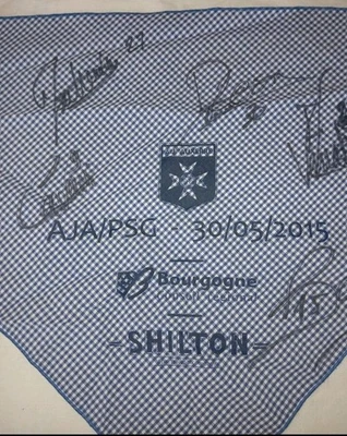 Foulard Football Officiel Dédicacé Cavani Verratti Final Coupe Psg Aja Maillot  - Photo 1/4