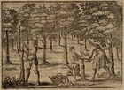 Obstbaum pfropfen pelzen veredeln Orig. Textblatt mit Kupferstich um1700 Gärtner
