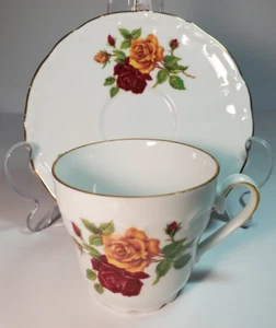 Vintage Bareuther Waldsassen Teacup and Saucer #263 Bavaria Germany - Picture 1 of 21
