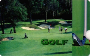 A 01 02.02 Golf, Sport, Telefonkarte, Auflage 6.000, ungebraucht - Bild 1 von 2