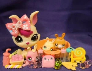 Littlest Pet Shop Magic Motion Mama & Baby Hase Kaninchen #3500 #3501 #3502 #3503 - Bild 1 von 9