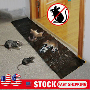 5 PACK Mice Mouse Rodent Glue Traps Board Super Sticky Bugs Rat Board 47*11''