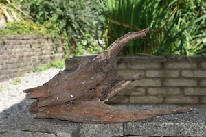 Vera Acquario Carbo Radice Bog Legno Troncone Driftwood Log Marino 55 x 40 x 30 - Foto 1 di 8