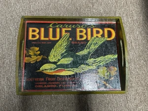 Caruso’s Brand Blue Bird Tray 13 1/2”x 10 1/4”x 1” - Picture 1 of 4