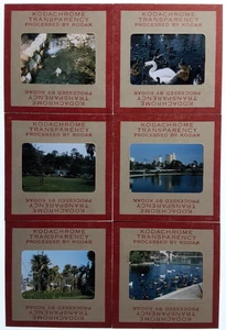 MacArthur Park Los Angeles, Elks 99/Park Plaza Hotel+: 50er Jahre 35mm Dia LOT x6 - Bild 1 von 12