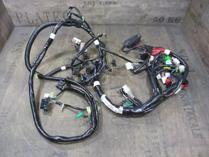Arnés de cables Sym Maxsym 600 i año 2018 cableado arnés CR1 F2 C308 - Imagen 1 de 3