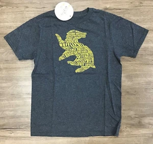 Boys' Short Sleeve Harry Potter Hogwarts Hufflepuff Graphic T-Shirt Gray M (8) - Picture 1 of 4