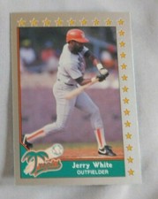 West Palm Beach Tropics 1990 Pacific Senior League Baseball Card Pick one