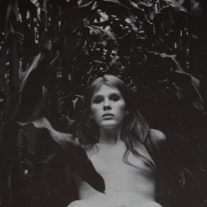Karin Székessy Frauenakt im Maisfeld signiert Photolithografie Großformat 1971 - Bild 1 von 4