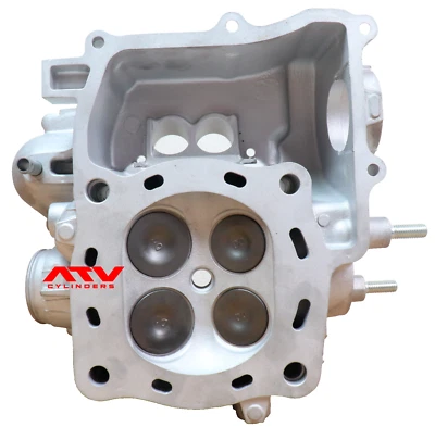 Genuine 2001-2014 Honda Foreman Rubicon 500 Cylinder Head Valves Topend Top End - Image 1 of 4