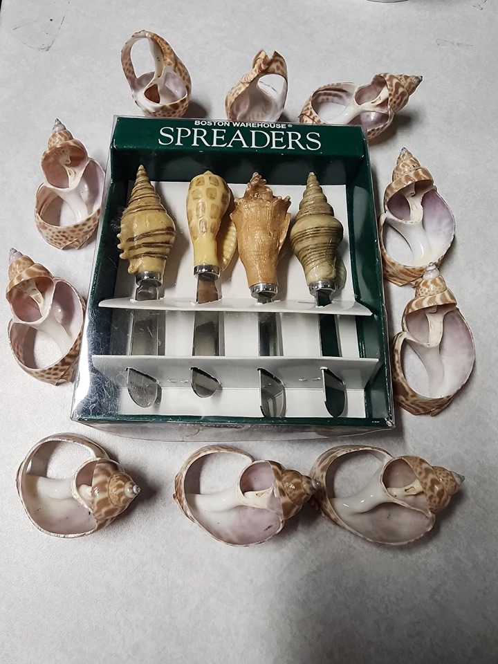 Cuchillos esparcidores de carcasa de acero inoxidable y 8 anillos porta servilletas concha marina reales nuevos de stock Foto 1 de 1