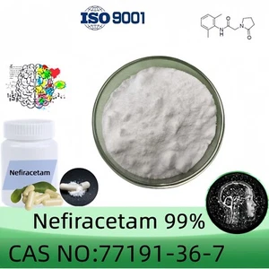 Polvo de nefiracetam, pureza 99% min, 20 gramos, incluye cucharada de 100 mg CAS 77191-36-7 - Imagen 1 de 7