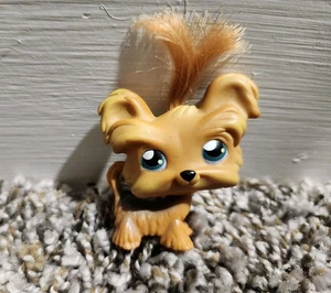 Hasbro Littlest Pet Shop #6 Shih Tzu cucciolo cane LPS ciuffo pelo marrone - Foto 1 di 3