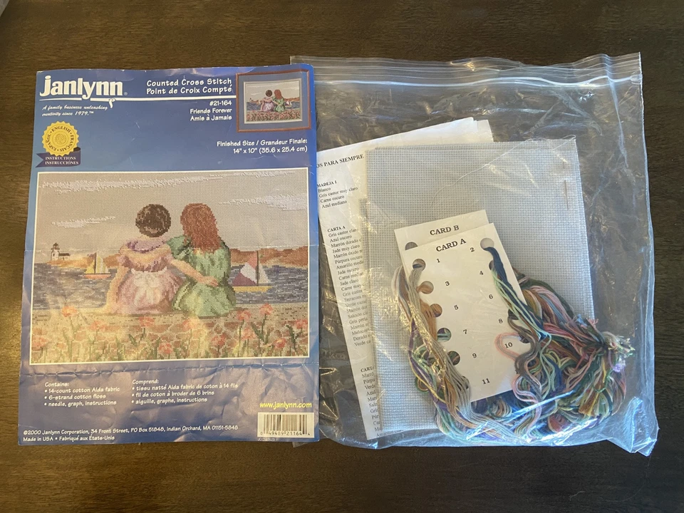 Janlynn Kit Punto de Cruz Friends Forever 2000 abierto completo #21-164 Foto 1 de 4