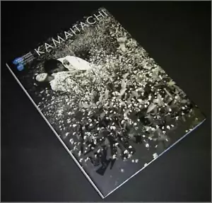Libro di opere giapponese EIKOH HOSOE - Kamaitachi 2009 - Foto 1 di 2