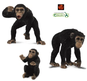 Chimpanzee Chimp Monkey Toy Model Figures by CollectA Male Female or Baby NEW - Foto 1 di 4