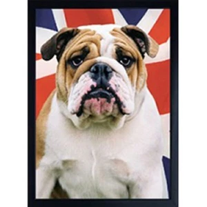 BRITISCHE BULLDOGGE 3D KÜHLSCHRANKMAGNET toller Weihnachtsstrumpffüller - Bild 1 von 2