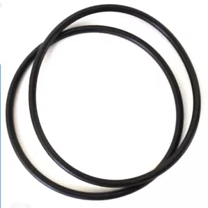 Replacement O-rings for 350013, Pentair Challenger Whisperflo, 2 Pack - Picture 1 of 2