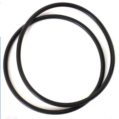 Replacement O-rings for 350013, Pentair Challenger Whisperflo, 2 Pack - Image 1 of 2