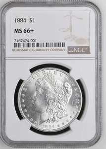 1884 Morgan Dollar MS-66+ NGC VIDEO - Picture 1 of 7