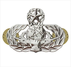 GENUINE U.S. AIR FORCE BADGE: CYBERSPACE SUPPORT: MASTER - REGULATION SIZE - Picture 1 of 1