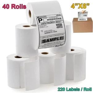 Etichette Termiche Spedizione 4" x 6"Compatibili 1744907 Dymo 4XL LabelWriter 220/Rotolo - Foto 1 di 11