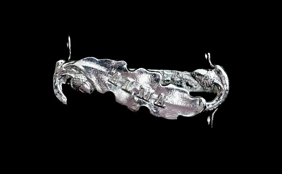 Crimea Medal Clasp Alma Silver - Image 1 of 1