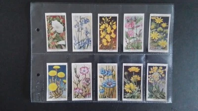 WILLS  1936.   WILD  FLOWERS.   SET OF 50 CARDS. - Image 1 of 4
