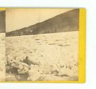 B4083 Graves view, Ice-Jam in the Delaware, 1875, Pennsylvania D
