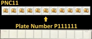 US #5037 MNH PNC11 2016 Apples Fruits Definitive Coil [P1111][From 782315] - Picture 1 of 1