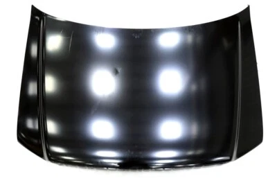 Conjunto de panel de capó Ford 4L3Z-16612-AA F-150 Mark LT 2006-2008 NUEVO OEM Foto 1 de 4