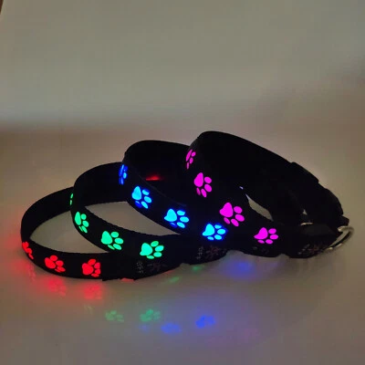 EXCLUSIWA DEKO & DESIGN LED Halsband Hund Pfote Leuchthalsband schwarz Hundehalsband