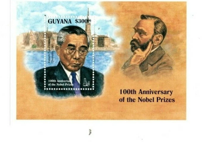 Guiana - 1996 - Prêmio Nobel - Folha de lembrança - MNH - Imagem 1 de 1