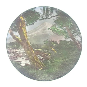 COLLECTABLE ROYAL DOULTON MOUNT EGMONT DECORATIVE PLATE (D.6436) - Picture 1 of 2
