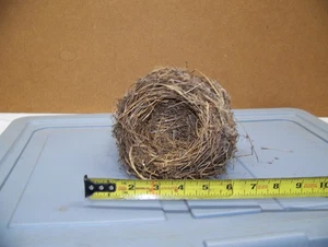 Authentisches gewebtes Vogelnest ~ ein wunderbares verlassenes Nest aus Oregon NEATO! - Bild 1 von 4
