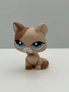LPS Paw Licking Cat Littlest Pet Shop 1363 Tan Two Tone Blue eyes - Picture 1 of 5