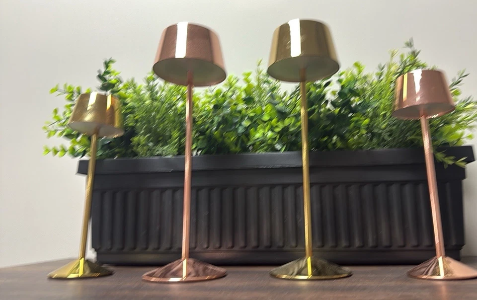 Luxury Lighting Cordless Recharge LED Table Lamp - Image 1 of 1