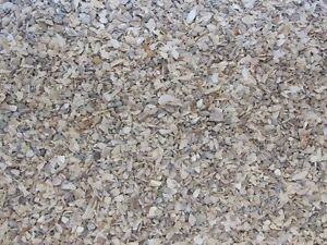 OYSTER SHELL FOR BIRDS - fish 1.5 Lb GRAMS / DIGESTIVE SYSTEM OF BIRDS