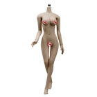 1/6 Seamless Big Bust Female Body Steel Skeleton Figure 12&quot; Fit Phicen Hot Toys