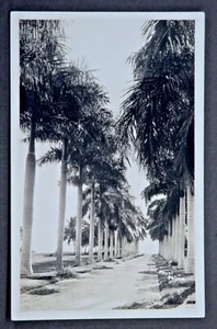 Tarjeta postal con foto real de Palm Beach FL Royal Palms - Imagen 1 de 1