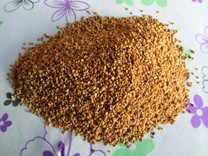 500g Blütenpollen Imkerqualität Blüten Pollen Vitamine Protein Fischfutter Biene - Bild 1 von 1