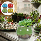  4 Pcs Balcony Flowerpot Cactus Planter Pots for Plants Ceramics Personality