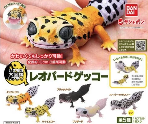 Bandai Gashapon Leopard Gecko Action Figure Cover