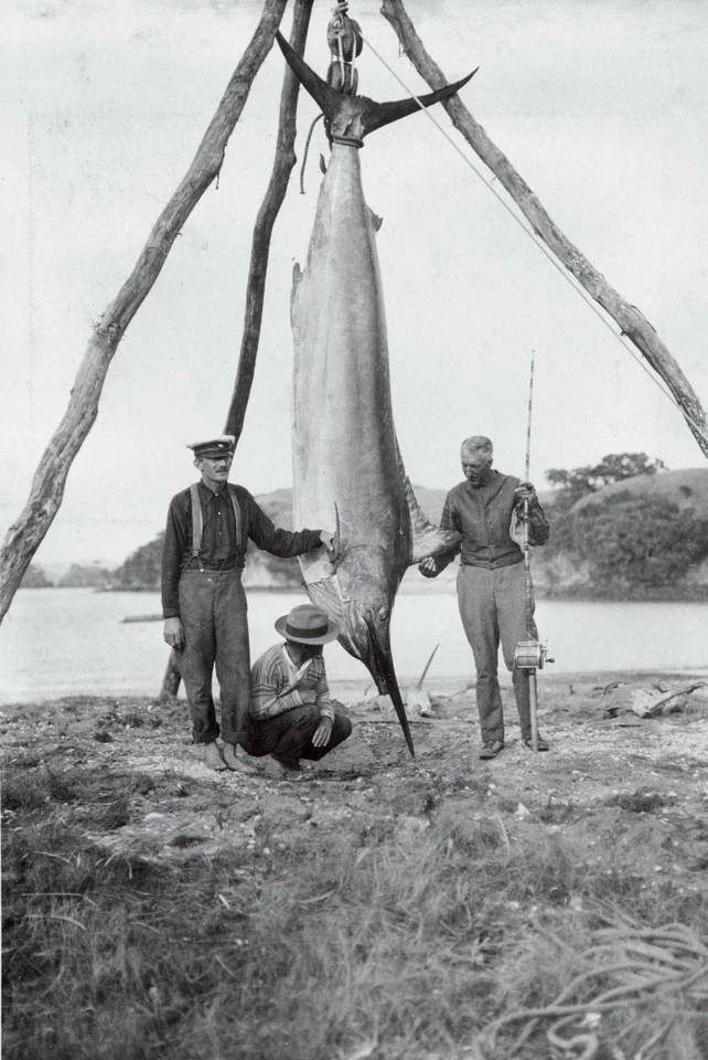Zane Grey Tuna Photo and AshawayFishing Line Photo 8.5x11 - Image 1 of 1