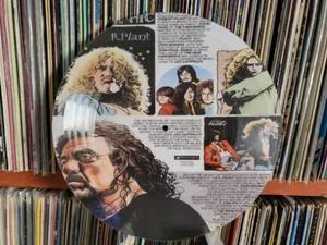 Led Zeppelin - No Quarter 12" PICTURE DISC SINGLE RARE LP - Picture 1 of 1