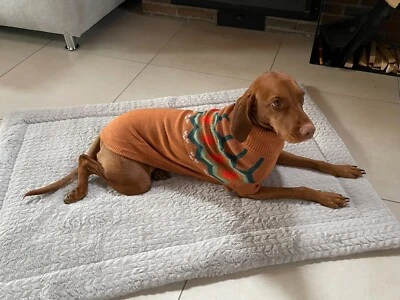 Hundepullover Pulli großer Hund GF Pet Heritage Sweater RL 61 cm 2XL hazel NEU - Bild 1 von 4