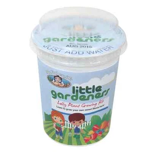 Stevia Gift. Grown Your Very Own Stevia Sweetener Lolly Plant. ALL-IN-ONE KIT - Picture 1 of 2