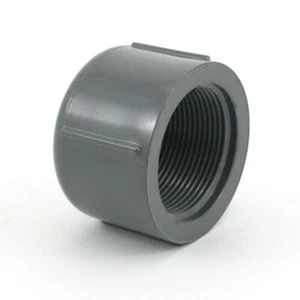 Accesorio de tapa roscada Spears 848-003 PVC Schedule 80 3/8" 140° F FPT - Imagen 1 de 1
